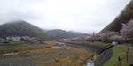 DSC_0014.JPG