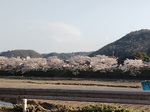 IMG_20250406_170259735.jpg
