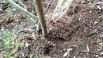 P_20190411_095550_vHDR_Auto.jpg